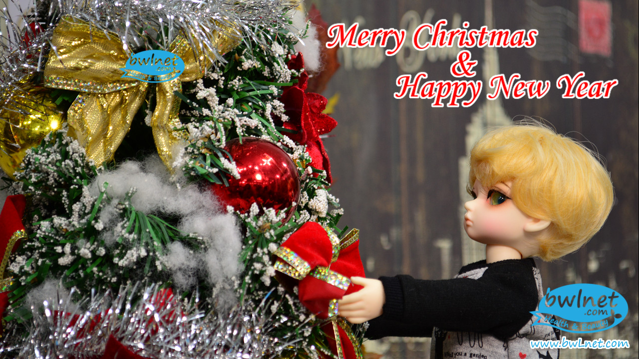 Merry Christmas and Happy New Year