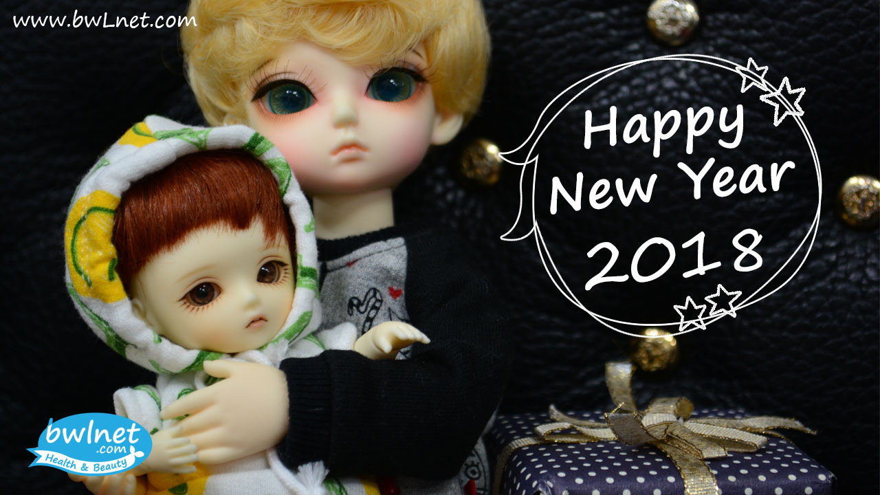 new-year-card-2018-bwlnet